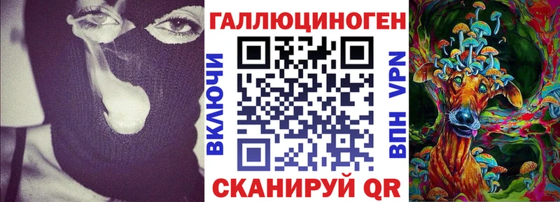 Псилоцибиновые грибы мицелий  магазин  наркотиков  блэк спрут вход  Пласт 